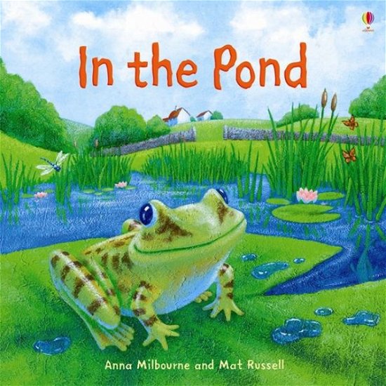 In the Pond - Picture Books - Anna Milbourne - Libros - Usborne Publishing Ltd - 9781409566328 - 9 de julio de 2013