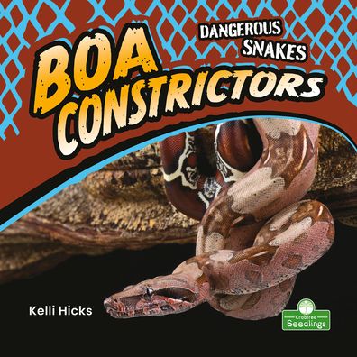 Boa Constrictors - Kelli Hicks - Books - CRABTREE SEEDLINGS - 9781427162328 - July 1, 2021