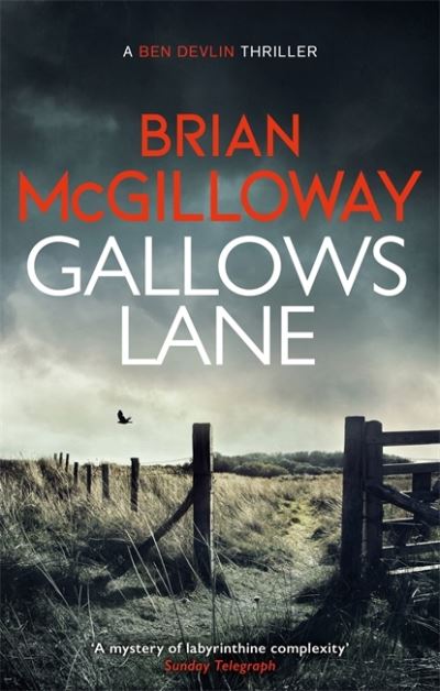 Cover for Brian McGilloway · Gallows Lane: An ex con and drug violence collide in the borderlands of Ireland... - Ben Devlin (Taschenbuch) (2021)