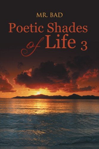 Cover for Mr. Bad Bad · Poetic Shades of Life 3 (Paperback Book) (2013)