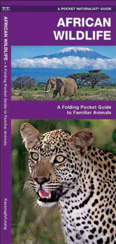 Cover for James Kavanagh · African Wildlife: A Folding Pocket Guide to Familiar Species - Pocket Naturalist Guide Series (Pamflet) [1st edition] (1999)