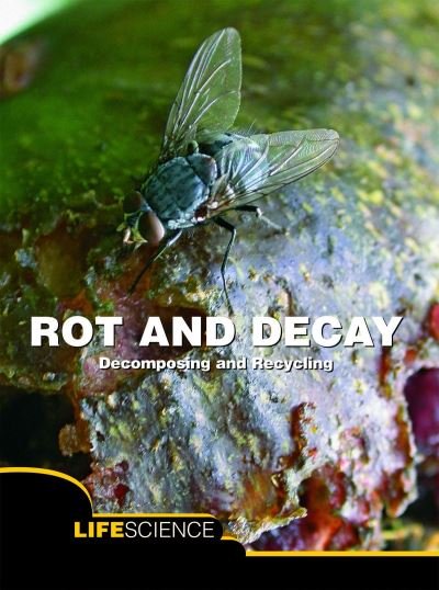 Cover for Sarah Levete · Rot and Decay (Paperback Book) (2011)