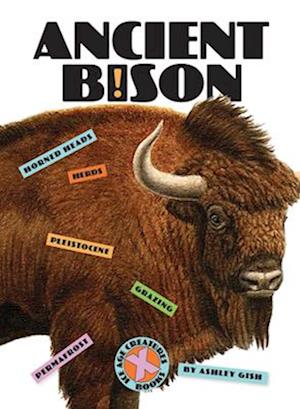 Cover for Ashley Gish · Ancient Bison (Book) (2022)