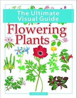 Cover for Leon Gray · Flowering Plants - Ultimate Visual Guide (Paperback Bog) (2015)