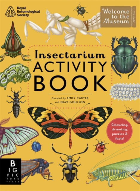 Cover for Dave Goulson · Insectarium Activity Book - Welcome To The Museum (Paperback Book) (2025)