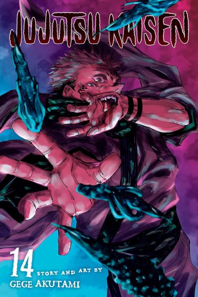 Cover for Gege Akutami · Jujutsu Kaisen, Vol. 14 - Jujutsu Kaisen (Paperback Bog) (2022)