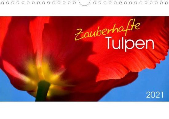 Zauberhafte Tulpen (Wandkalende - Trabant - Livros -  - 9783672294328 - 
