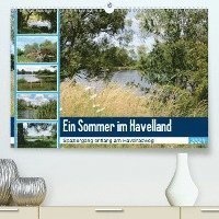 Cover for Frost · Ein Sommer im Havelland - Spazier (Bog)