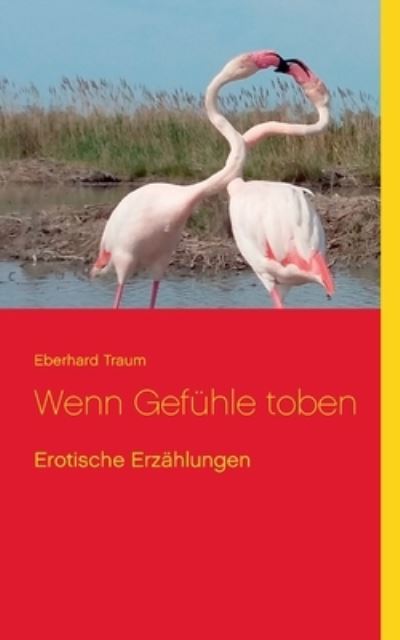 Cover for Eberhard Traum · Wenn Gefuhle toben: Erotische Erzahlungen (Paperback Book) (2021)