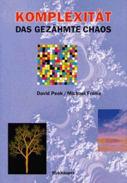 Komplexitat Das Gezahmte Chaos - David Peak - Books - Springer - 9783764351328 - November 29, 1995