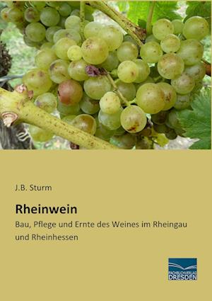 Rheinwein - Sturm - Books -  - 9783956929328 - 