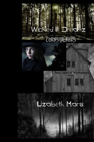 Wicked Lil Dreamz - Lizabeth Mars - Książki - Independently Published - 9798678485328 - 24 sierpnia 2020