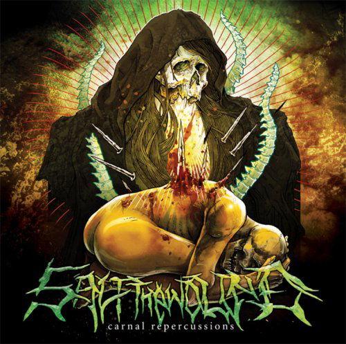 Cover for Salt the Wound · Carnal Repercussions (CD) (2008)