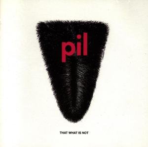 That What is Not - Public Image Limited - Musique - EMI RECORDS - 0077778626329 - 19 janvier 2004