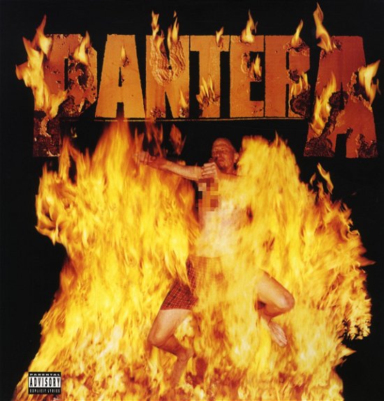 Cover for Pantera · Reinventing the Steel (LP) [180 gram edition] (2012)