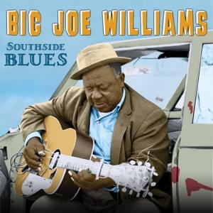 Southside Blues - Big Joe Williams - Musik - SMORE - 0089353338329 - 29. november 2019