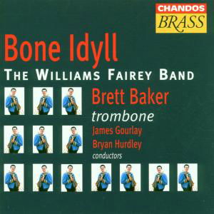 Baker,b. / Fairey,williams Band · Bone Idyll (CD) (1996)
