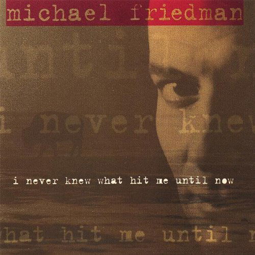 Cover for Michael Friedman · I Never Knew What Hit Me Until Now (CD) (2007)