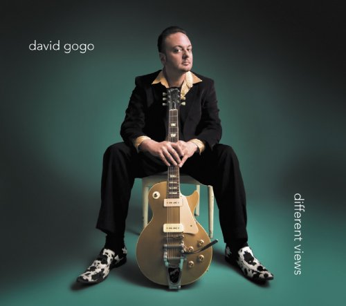 Different Views - David Gogo - Musikk - BLUES - 0624481007329 - 14. juli 2009