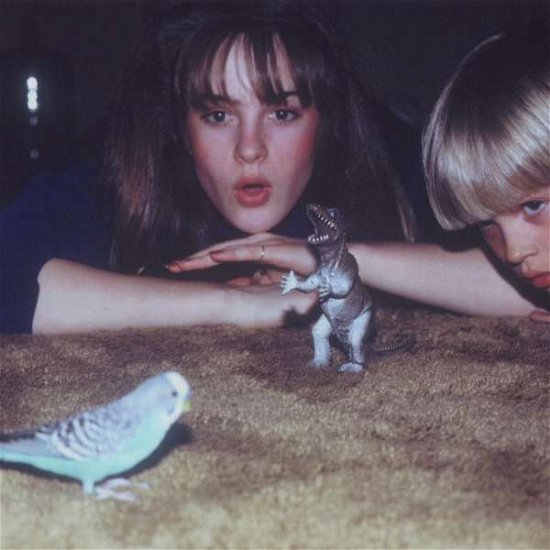 Cover for Big Thief · Masterpiece (CD) (2016)