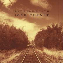 Cover for Various Artists · Tribute To Josh Turner (CD) [Tribute edition] (2010)