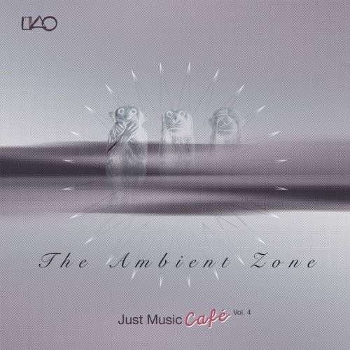 Cover for Ambient Zone · Just Music Cafe - Vol 4 (CD) (2012)