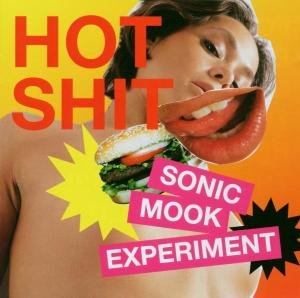Cover for Sonic Mook Experiment · Sonic Mook Experi (CD) (2015)