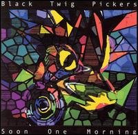 Soon One Morning - Black Twig Pickers - Musik - VHF - 0783881007329 - 27 februari 2003