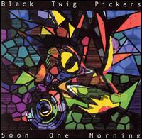 Cover for Black Twig Pickers · Soon One Morning (CD) (2003)