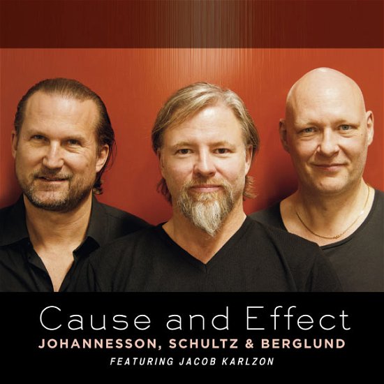Cover for Johannesson,peter / Schultz,max / Berglund,dan · Cause &amp; Effect (CD) (2015)