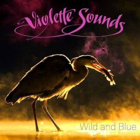 Cover for Violette Sounds · Wild And Blue (CD) [Digipak] (2018)