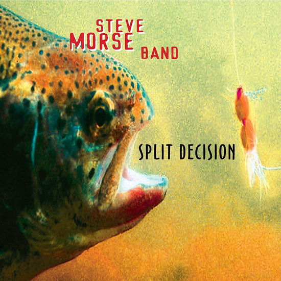 Cover for Steve -Band- Morse · Split Decision (CD) (2022)