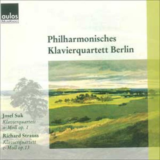 Cover for J. Suk · Piano Quartet A-Moll Op1 (CD) (2009)
