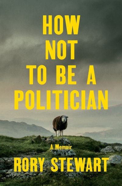 Cover for Rory Stewart · How Not to Be a Politician (Bog) (2023)