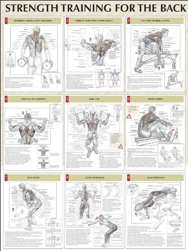 Cover for Frederic Delavier · Strength Training for the Back Poster (Poster) (2005)