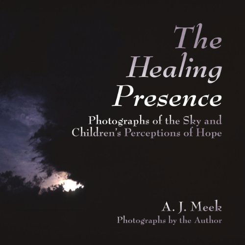 Cover for A J Meek · The Healing Presence (Taschenbuch) (2014)