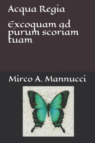 Cover for Mirco A. Mannucci Ph.D. · Acqua Regia (Paperback Book) (2019)