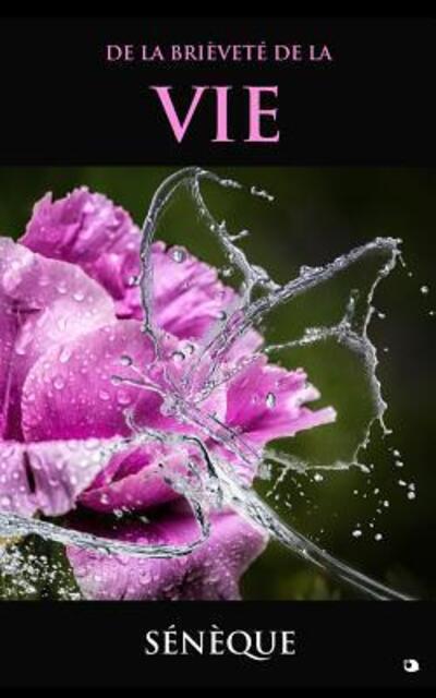 De la brievete de la vie - Seneque - Books - Independently Published - 9781099696329 - May 22, 2019