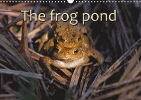 Cover for Berg · The Frog Pond / UK-Version (Wall C (Bog)