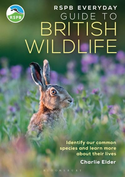 RSPB Everyday Guide to British Wildlife: Identify our common species and learn more about their lives - RSPB - Charlie Elder - Books - Bloomsbury Publishing PLC - 9781399413329 - May 22, 2025