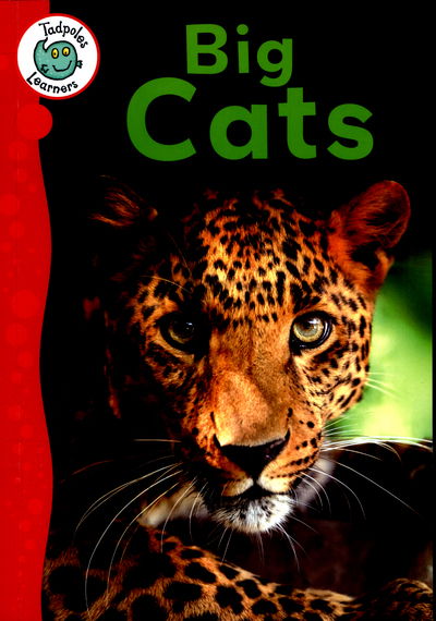 Tadpoles Learners: Big Cats - Tadpoles Learners - Annabelle Lynch - Books - Hachette Children's Group - 9781445138329 - May 10, 2016