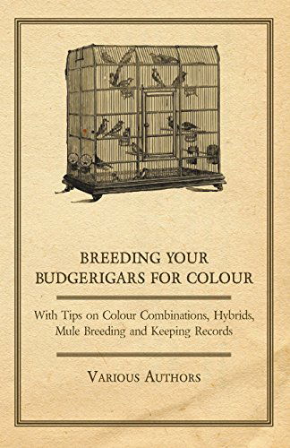 Cover for Breeding Your Budgerigars for Colour - with Tips on Colour Combinations, Hybrids, Mule Breeding and Keeping Records (Paperback Book) (2011)