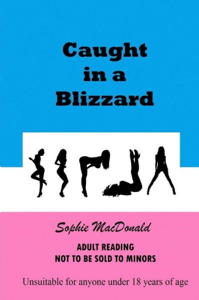 Cover for Sophie Macdonald · Caught in a Blizzard (Paperback Book) (2013)