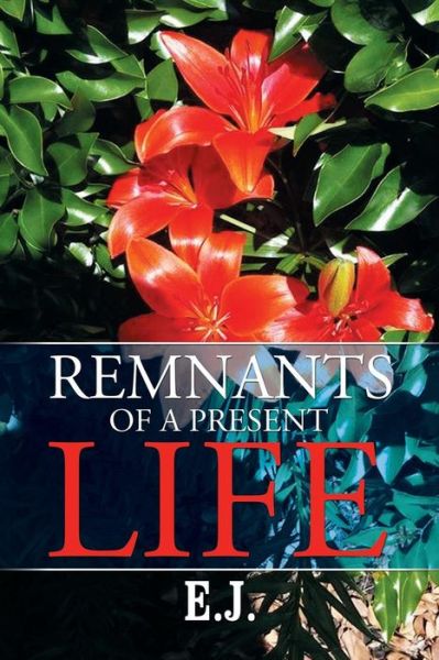 Cover for E J · Remnants of a Present Life (Paperback Book) (2015)