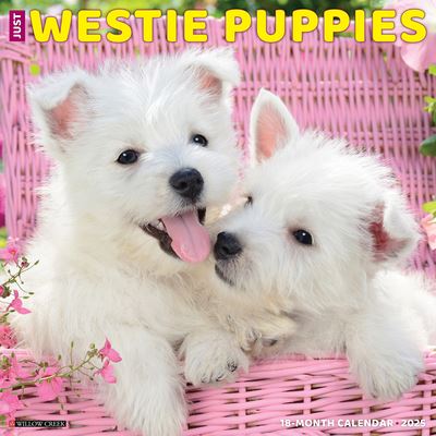 Cover for Willow Creek Press · Just Westie Puppies 2025 12 X 12 Wall Calendar (Calendar) (2024)