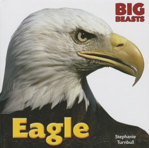 Cover for Stephanie Turnbull · Eagle (Big Beasts) (Gebundenes Buch) (2013)