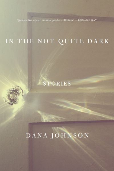 Cover for Dana Johnson · In the not quite dark (Book) (2016)