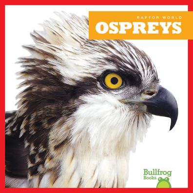 Cover for Jenna Lee Gleisner · Ospreys (Hardcover Book) (2019)