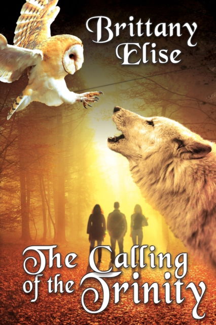 Cover for Brittany Elise · The Calling of the Trinity (Paperback Book) (2020)