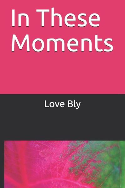 Cover for Love Bly · In These Moments (Paperback Book) (2019)